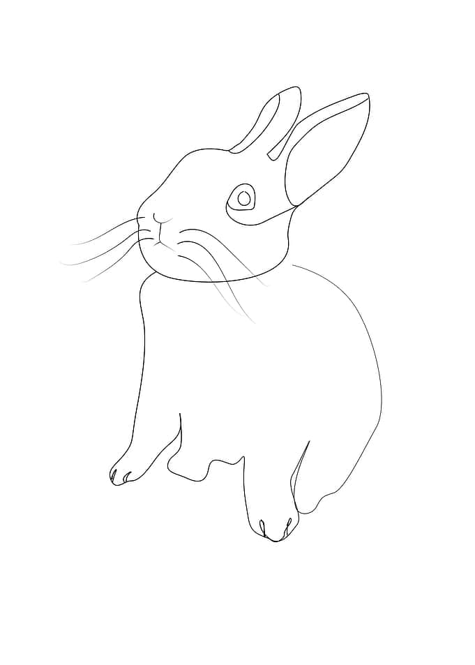 Rabbit one line art