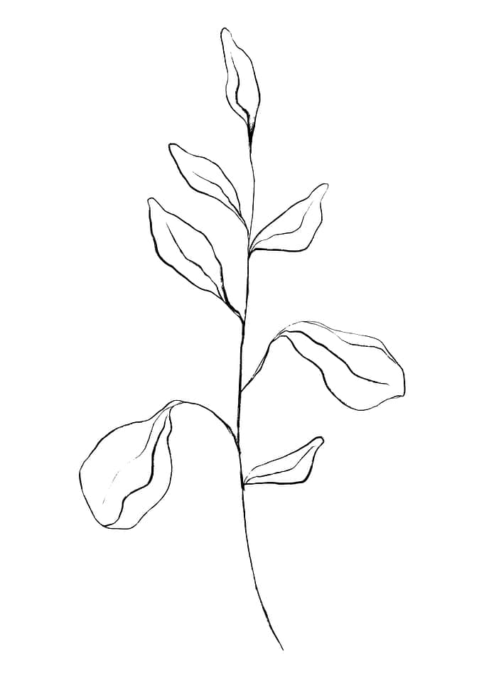 Stretching Leaves