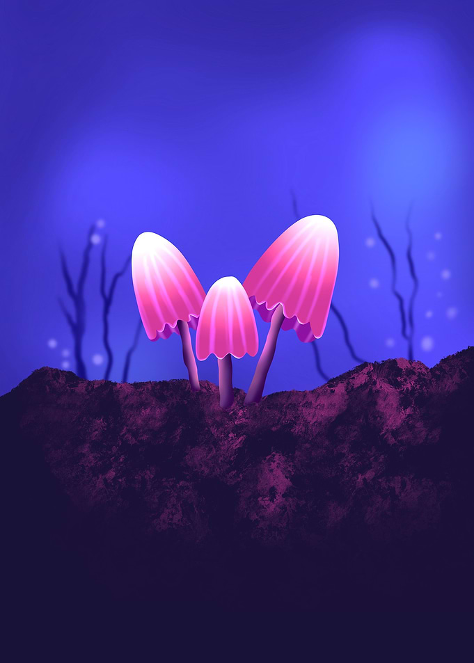 Mushrooms
