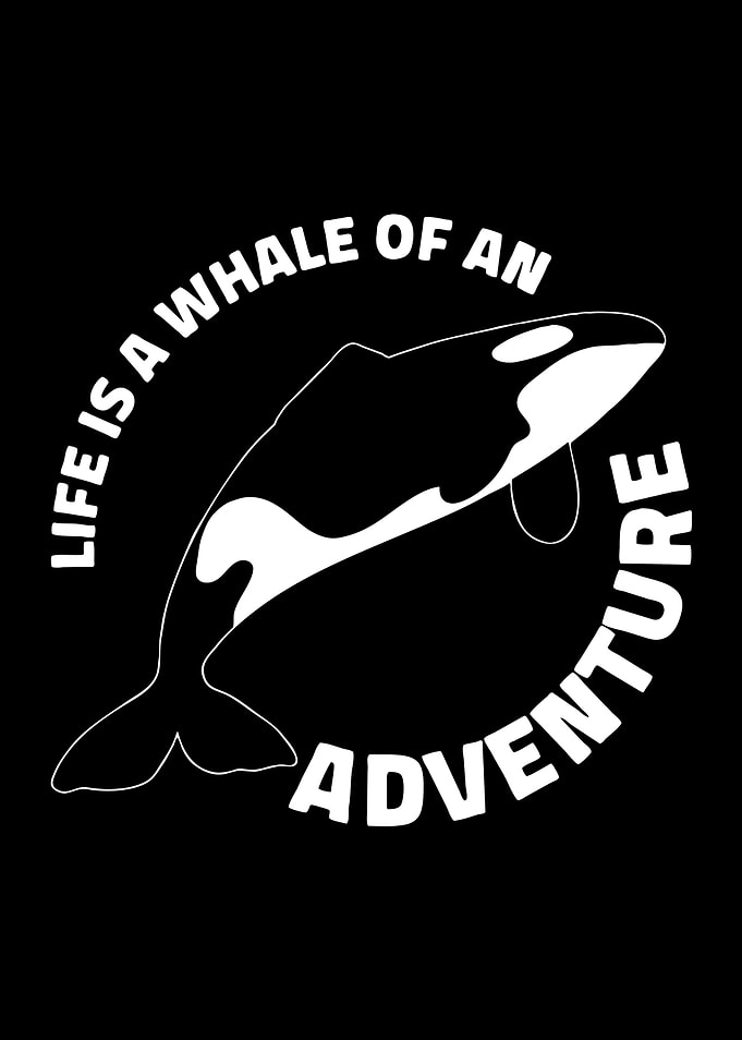 Orca Whale