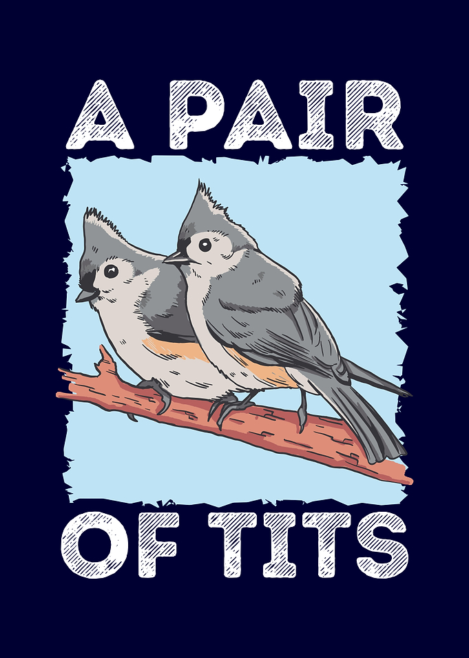 A Pair of tits bird