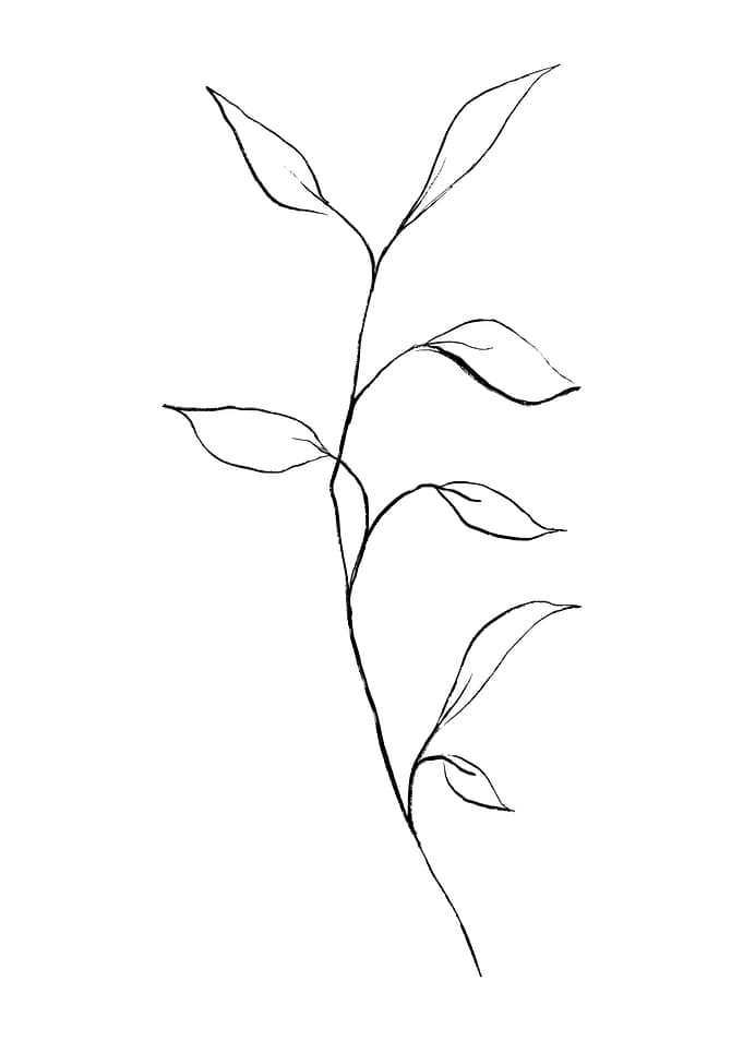 Slightly Curved