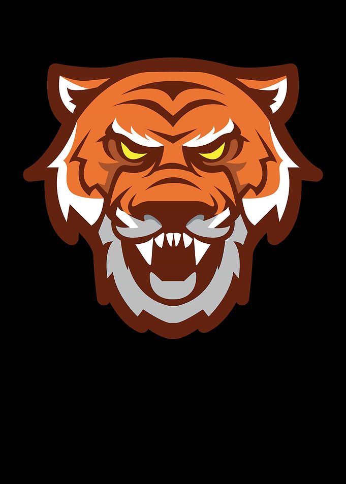 Angry Tiger