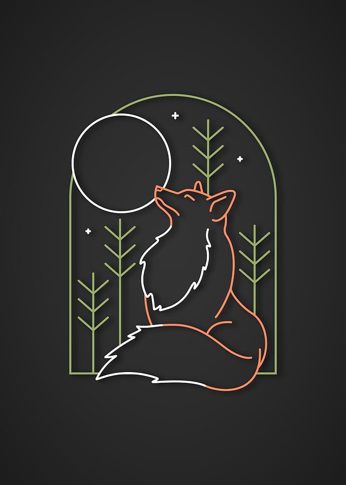 Fox Looking At The Moon