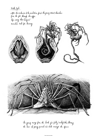 Birth Cycle Alien Sketch