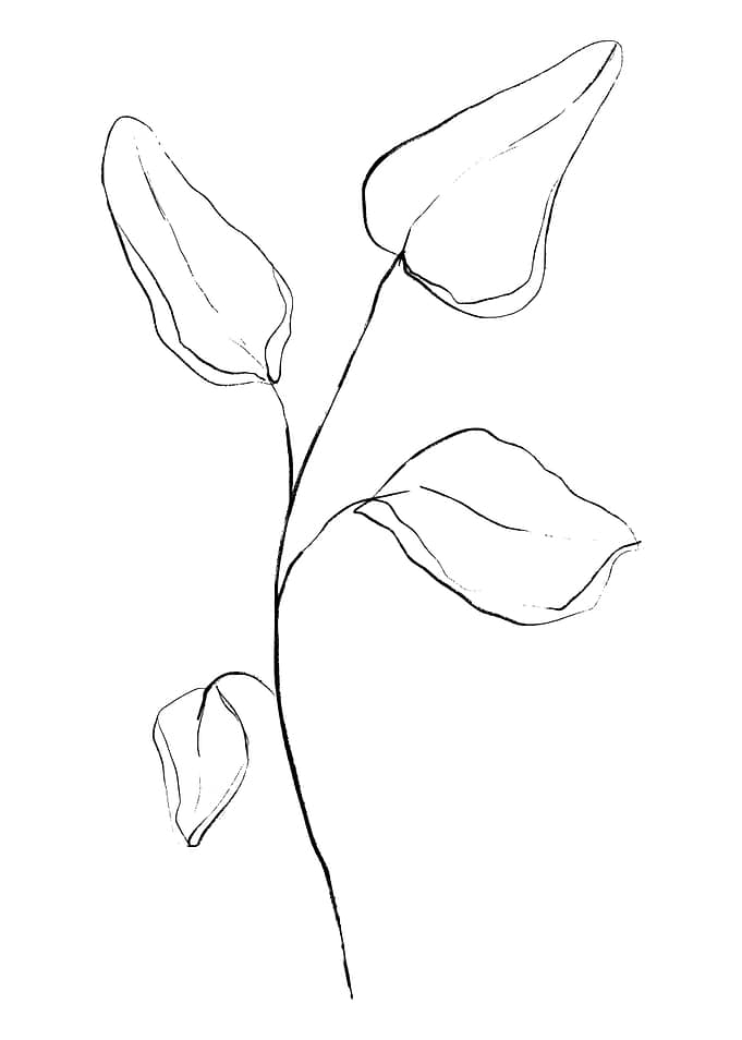Four Leaf Not Clover
