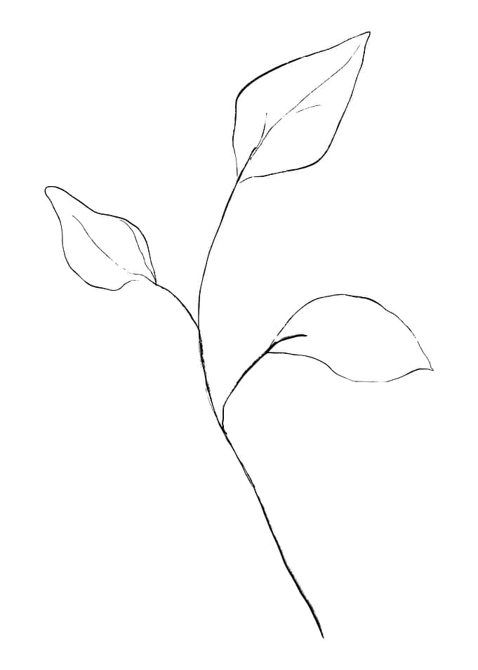 Leaves of three