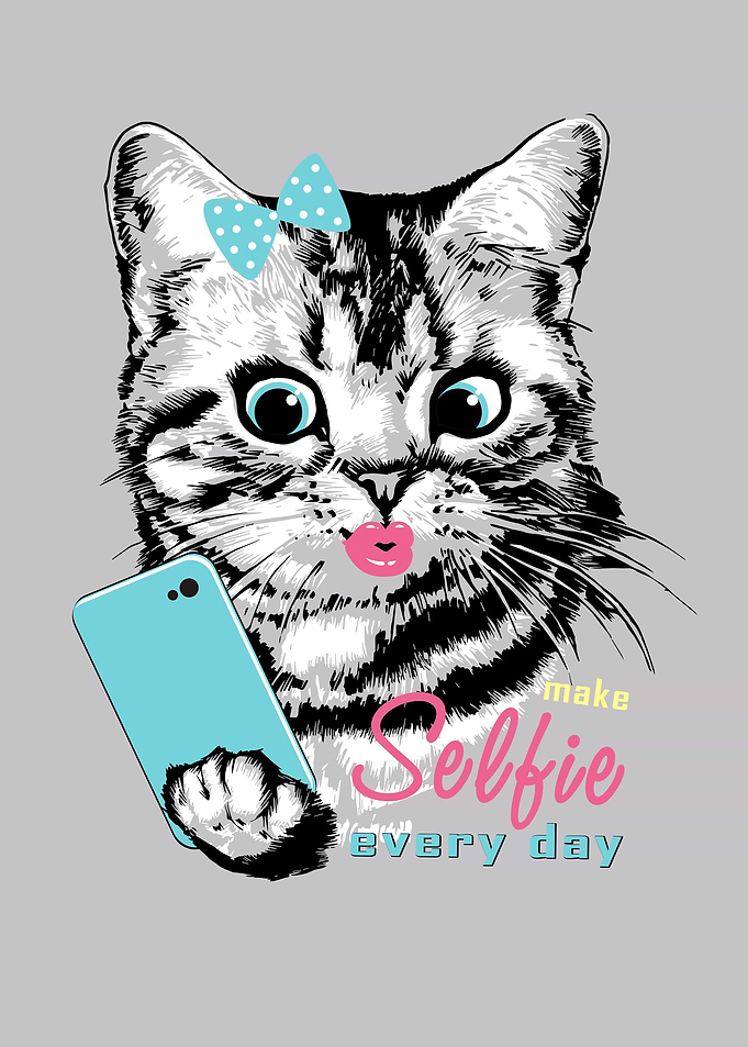 Selfie cat