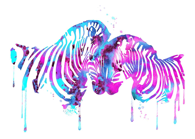 Zebra in love