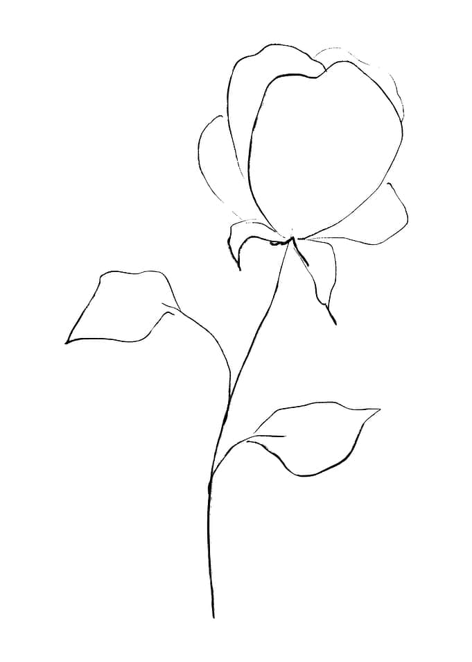 Kiss From a Rose