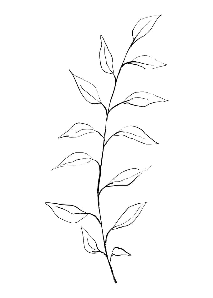 Curved Spine