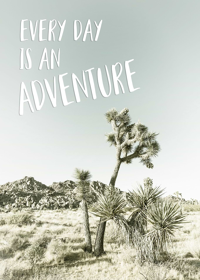 Every day is an adventure