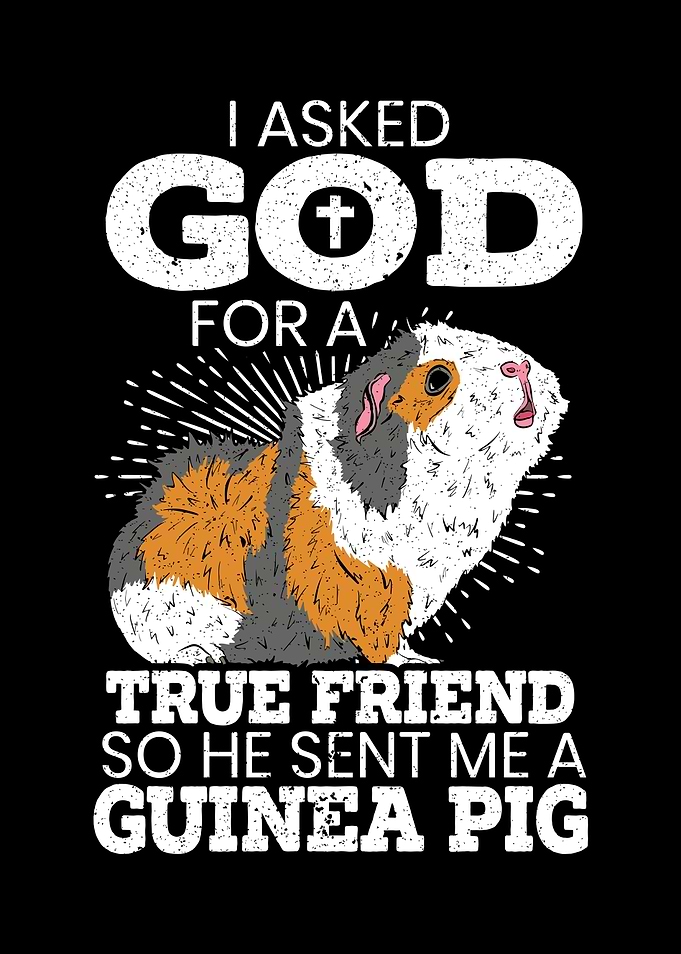 God Sent Me A Guinea Pig