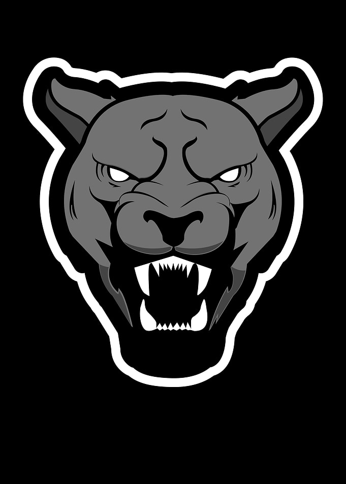 Growling Panther
