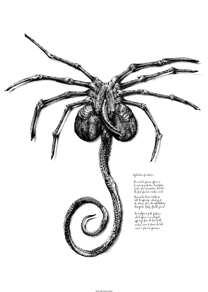 Explorations Of Mutations Sketch