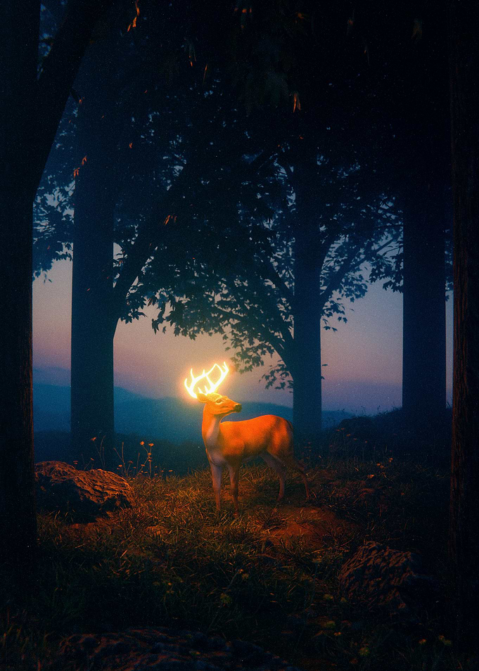 RADIANCE