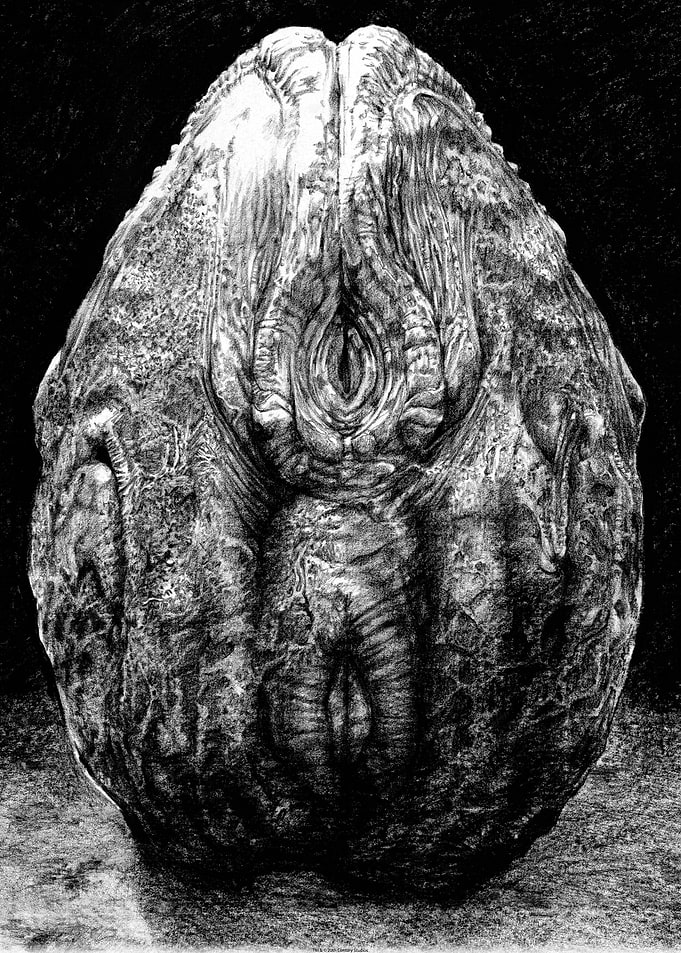 Alien Egg Stage 4 Sketch
