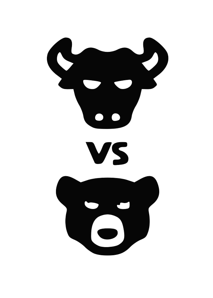 Stock Market Bulls VS