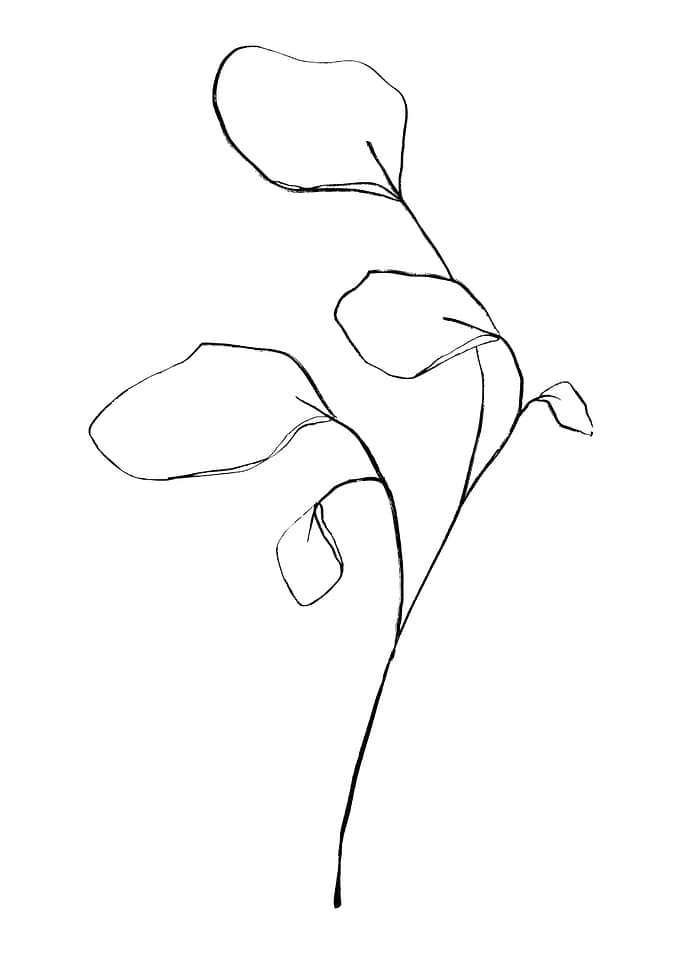 Wind swept