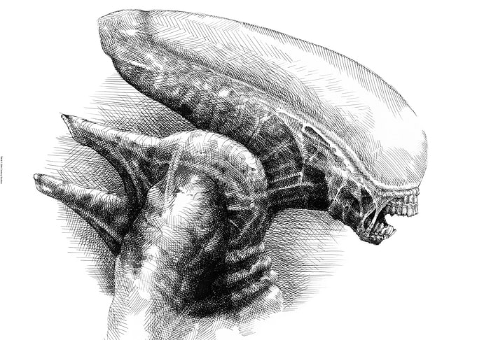 Alien Creature Profile Sketch