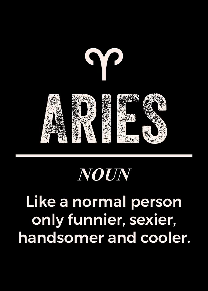Aries Definition Apparel F