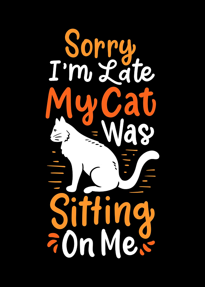 Cat Kitten Cat Lover