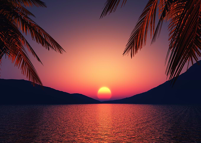 Tropical Dreams