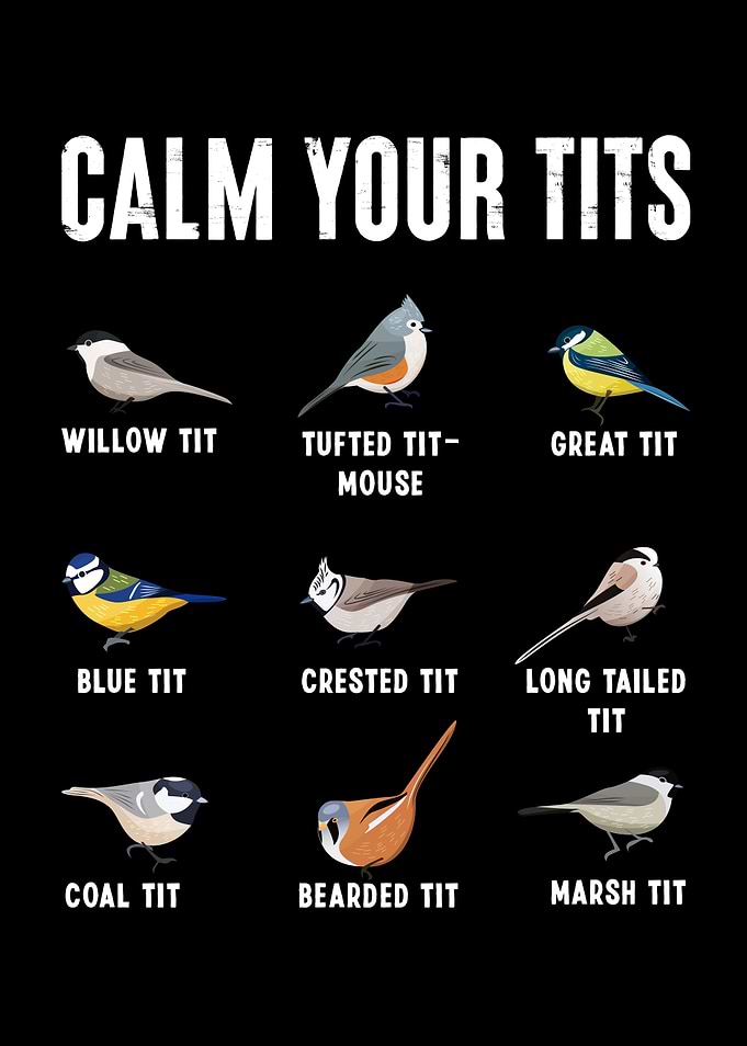 Calm your tits Funny Bird