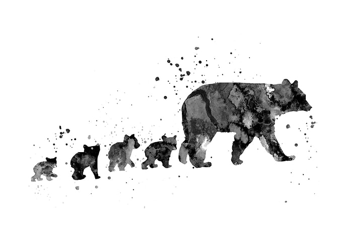 Bear family