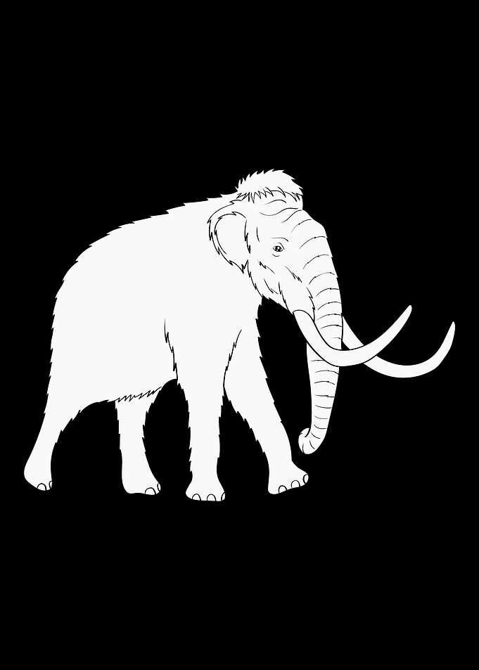Mammoth Tusk Gift