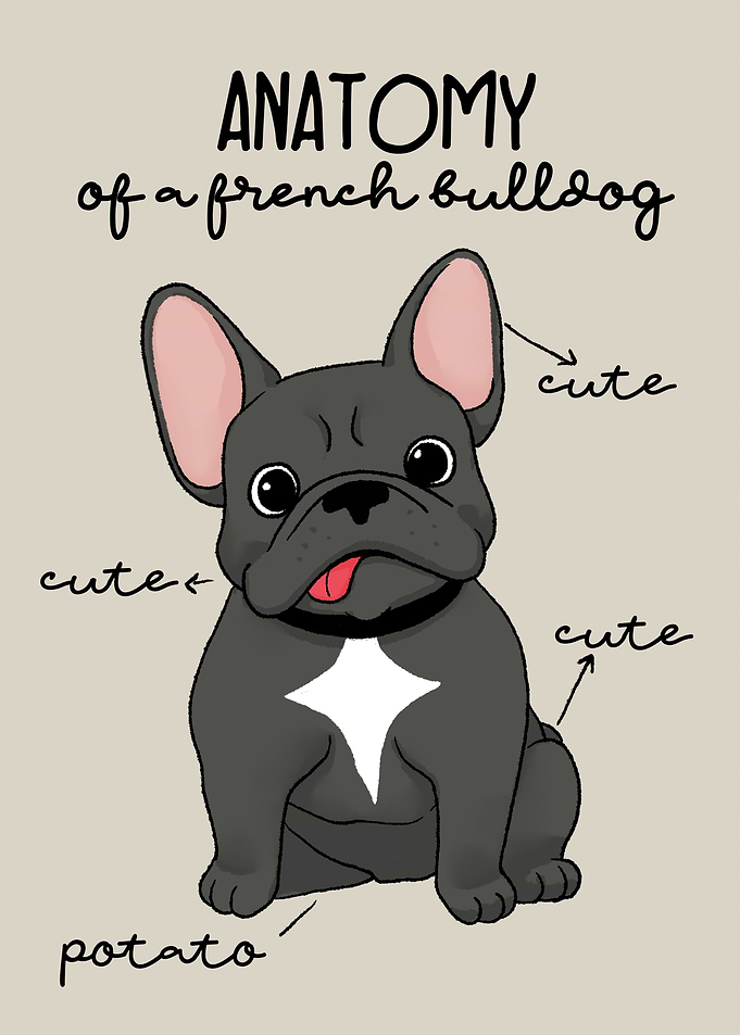 Anatomy of a Bulldog