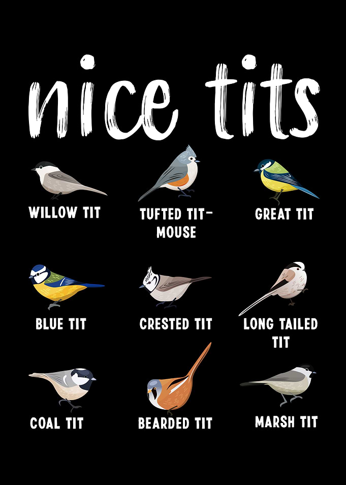Bird watching Gift Funny
