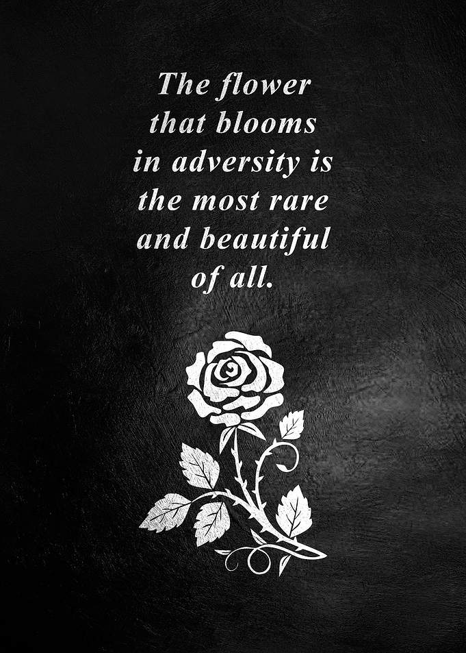 Bloom in Adversity