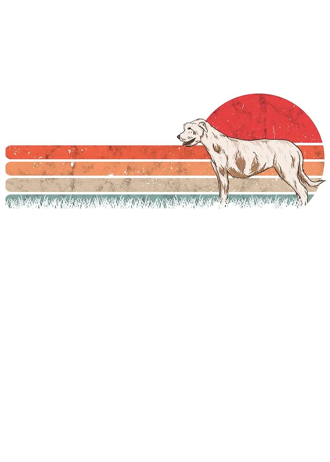 Irish Wolfhound Vintage
