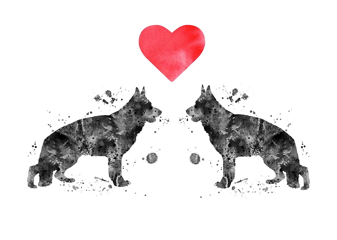 German Shepherd