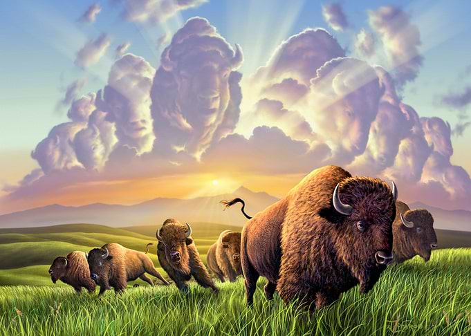 Stampede
