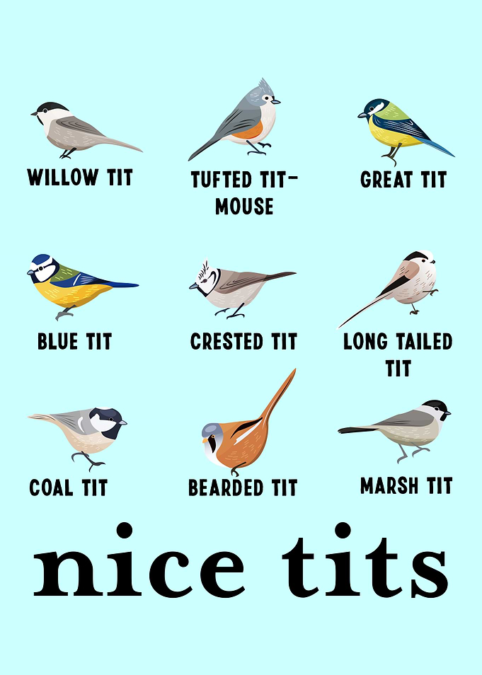 Nice tits Christmas Funny