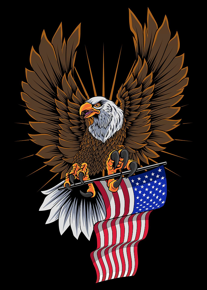 Pride Bald Eagle Flag