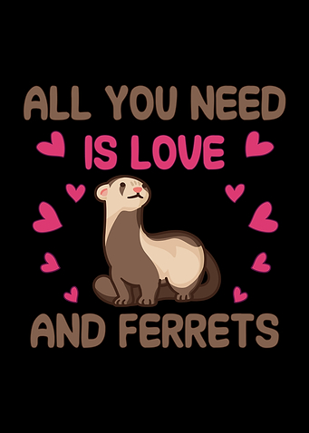 Ferrets love
