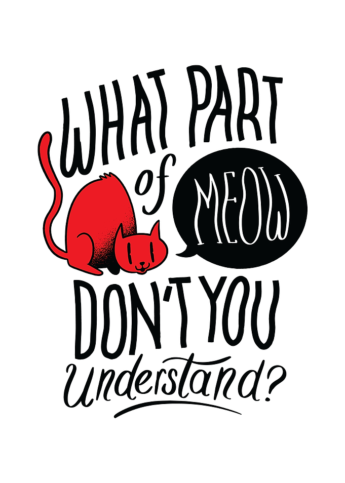 DONT UNDERSTAND MEOW