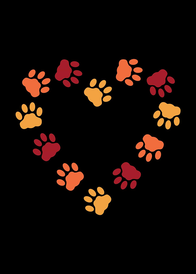 Big heart made of cat paws