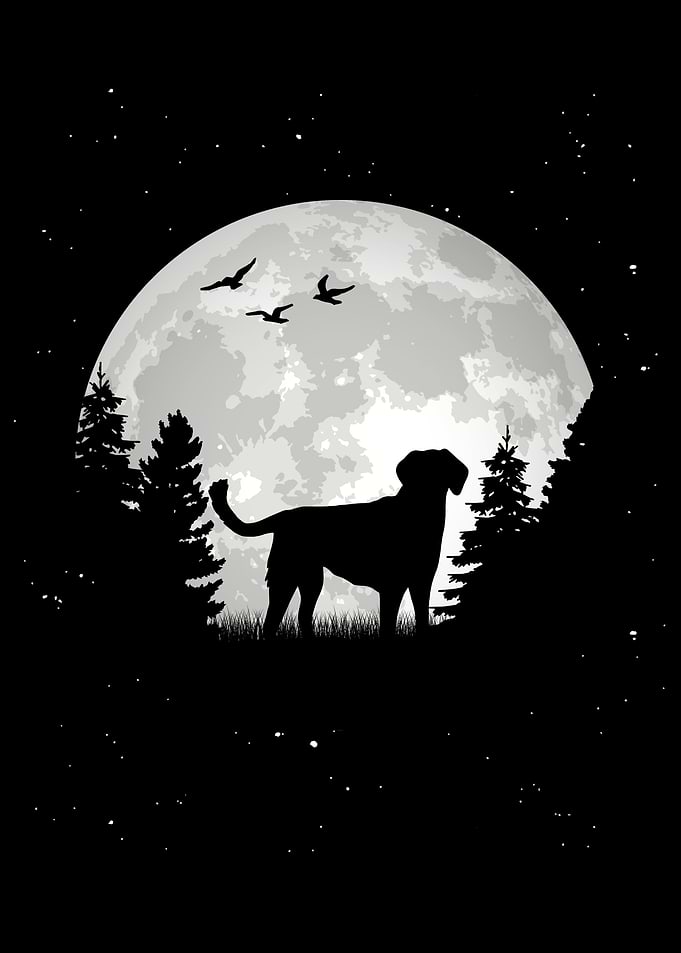 Small Munsterlnder Moon