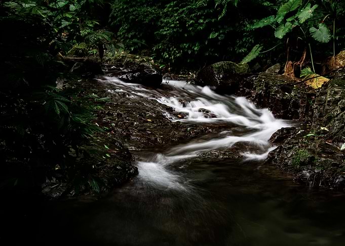 Stype rapids
