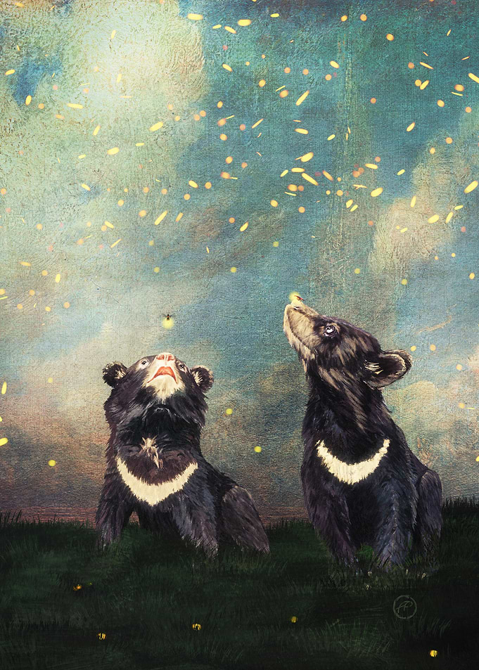 Bears and Fireflies Show