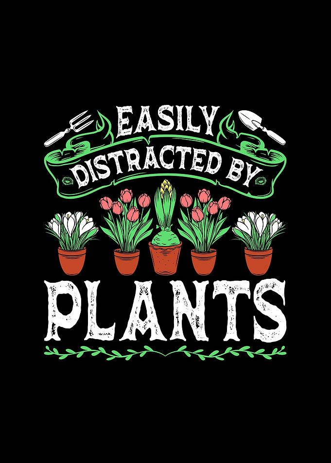 Easily Distracted Plants