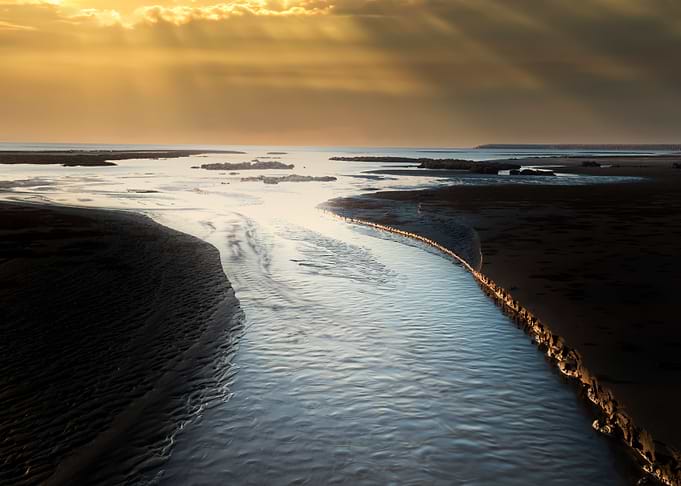 Estuary