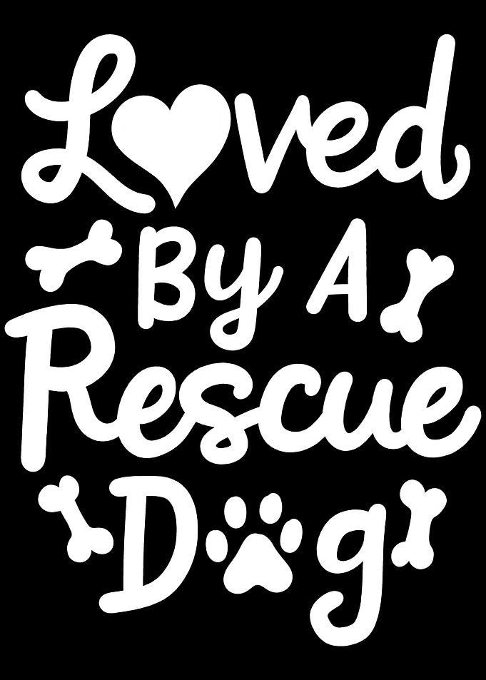 Rescue Dog