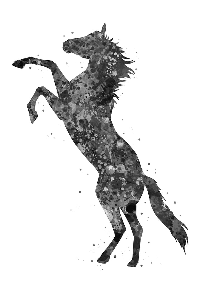 Horse standing up