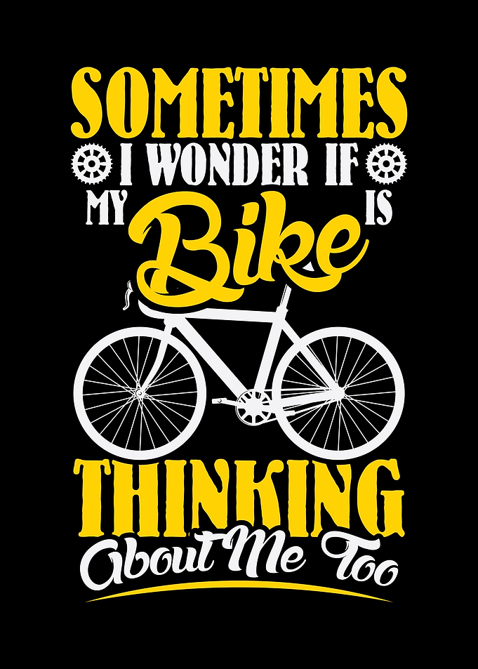 Mountain bike MTB