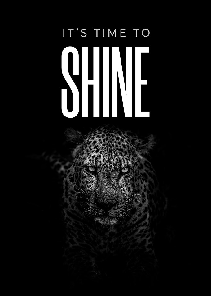 Time to Shine